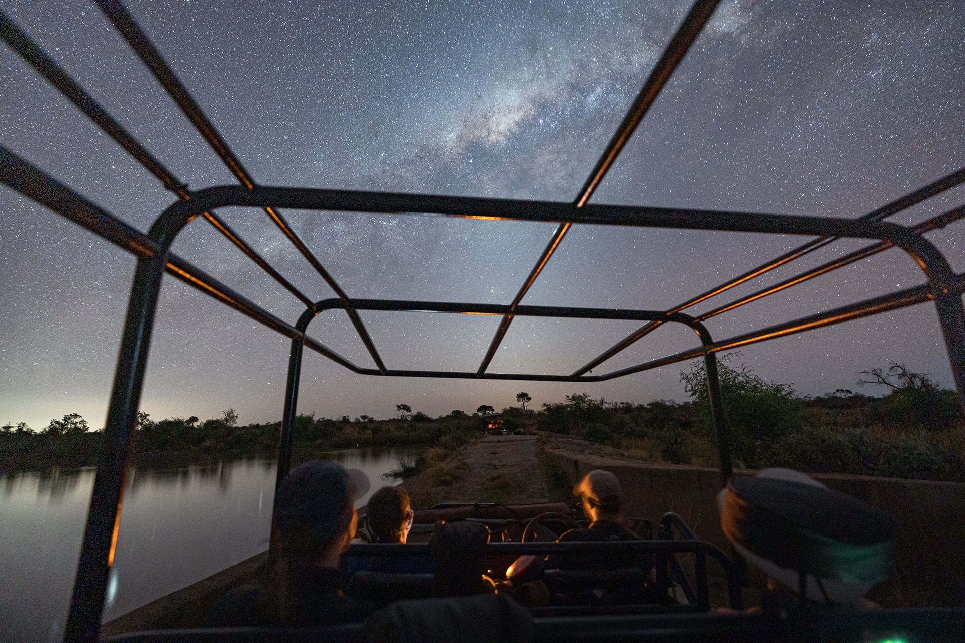 night drive safari mily way stars nocternal wildlife