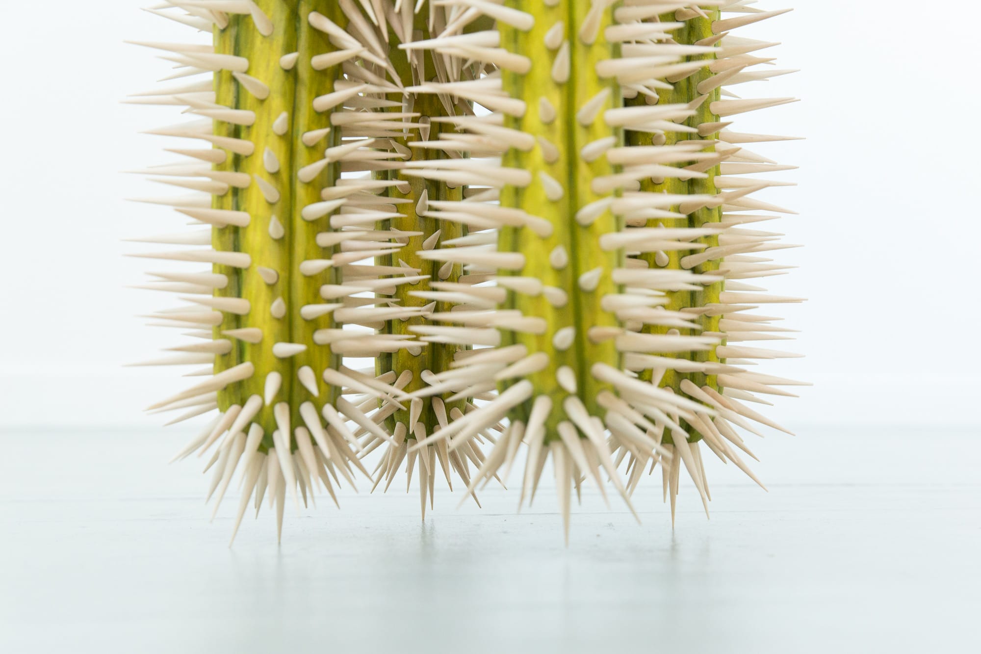 a detail image of a spine covered desk by Raul De Lara