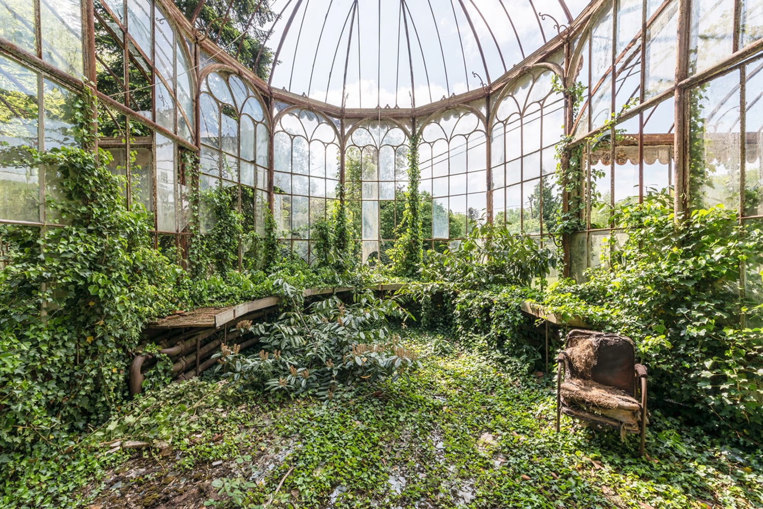 Untamed Flora Subsumes Abandoned Greenhouses in Romain Veillon’s ‘Secret Gardens’
