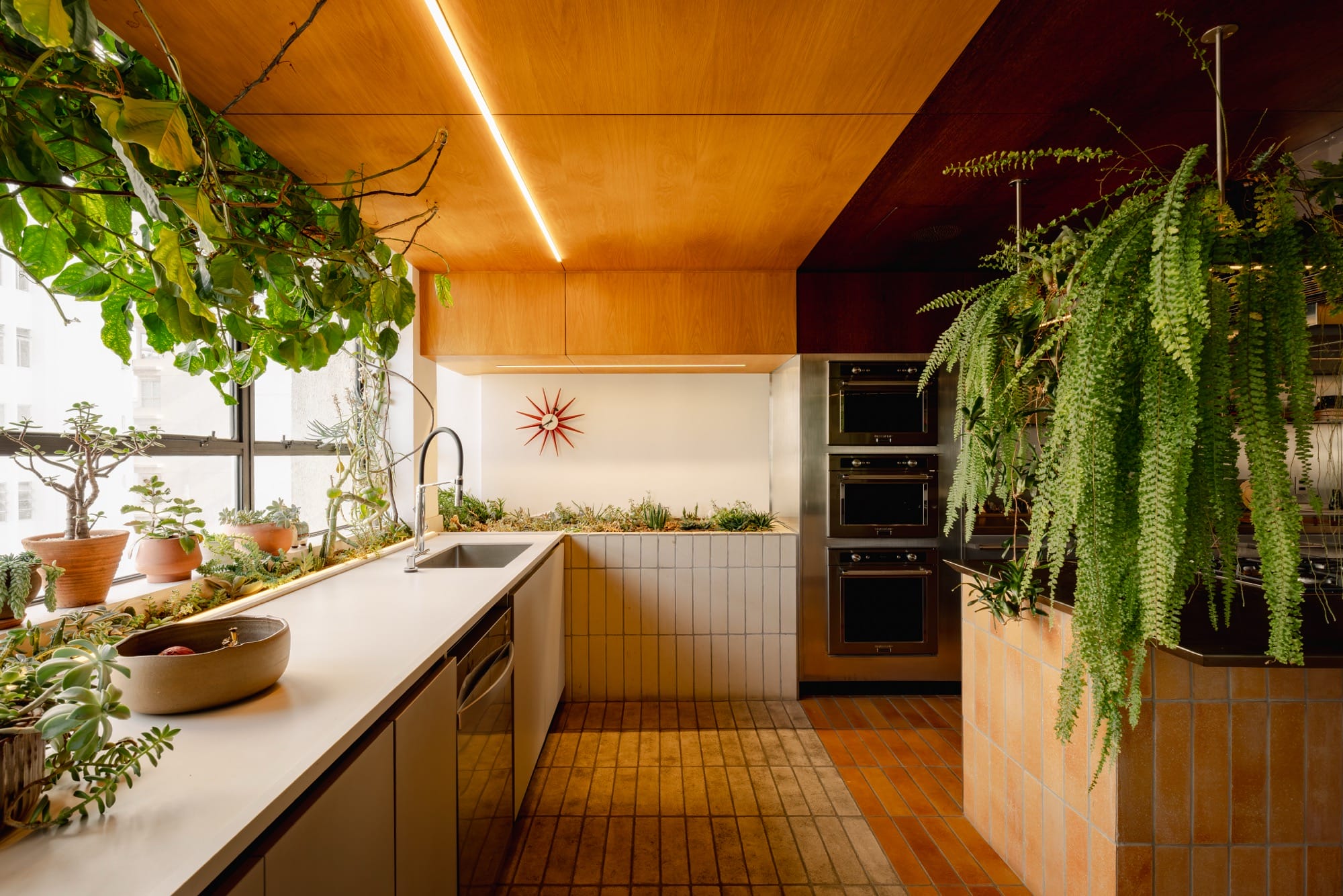 An apartment kitchen designed by Guto Requena with houseplants draping from frameworks above the counters
